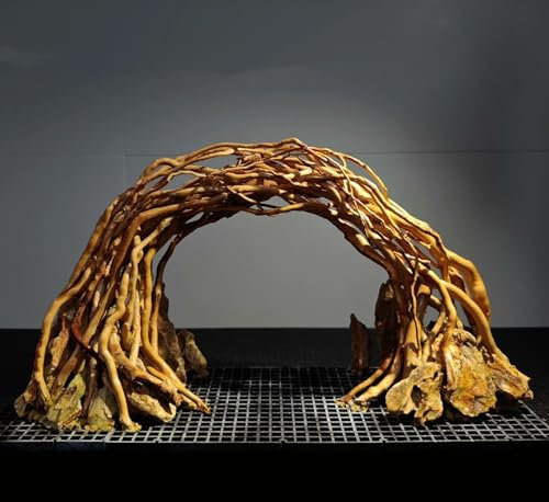 AWXZOM Aquarium Driftwood Centerpiece Aquarium Landscape, Handcrafted!!! Fish Tank hardscape Landscape (Small Silent Cave)
