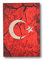 Gök-Türk Wandbild Bild für Wohnzimmer Büro Wohnung Deko Kunstdrucke Halbmond mit Stern Ay Yildiz (rot)