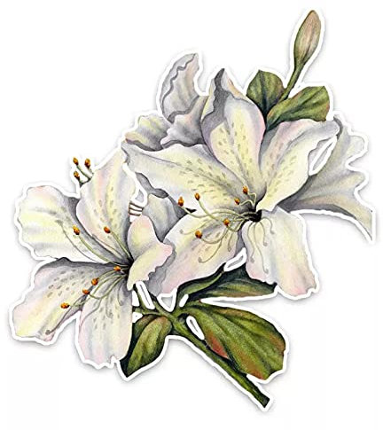 MACMRD Auto Aufkleber 10,9 * 12,1 cm Interessante Lilie Blume Dekoration Auto Aufkleber Auto Aufkleber