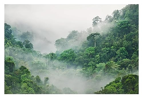 Bilderwelten Fototapete Wald 320 x 480 cm Vlies-Tapete XXL Waldtapete Dschungel im Nebel Smart Wandtapete Wanddekoration Wohnzimmer Schlafzimmer