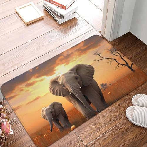 Rutschfeste Fußmatte für den Eingang, Willkommens-Matten, niedlicher wilder Elefant, Fußmatte, waschbar, Bodenmatte, Bauernhaus-Teppich, Küchenteppich, saugfähige Badematte für Schlafzimmer,