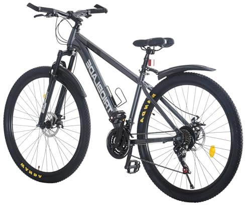 KernGut Outdoor Fahrrad 24/26/27,5/29 Zoll, Mountainbike mit Doppel Scheibenbremsen, 21-Gang Schaltung Touren Hardtail-Fahrrad, Ergonomischen Sitzen, Vordere Federung, MTB Bike (Grau, 29 Zoll)