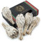 MUT22 5 Antorchas Salvia Blanca Sagrada para Quemar, Hierba de Purificación y Armonía: Salvia Apiana 100% Natural, Ideal para Limpieza Espiritual y Rituales Energéticos