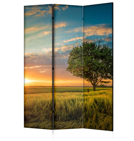 framed concept - Paravent Raumteiler Holz 135x172 cm, 3-teilig beidseitig, Sichtschutzwand