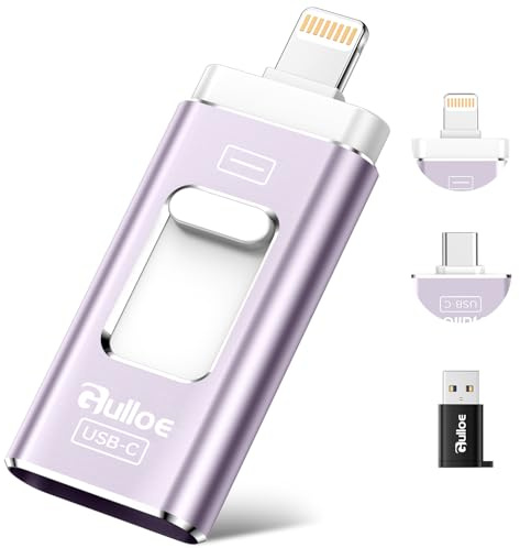 Gulloe 256 GB Dual-Interface-Flash-Laufwerk für Handy-Speicher, Fotos, Videos, Telefon, USB-Backup, externer Foto-Speicherstick – keine App erforderlich, kompatibel mit iPhone, iPad, Android und PC