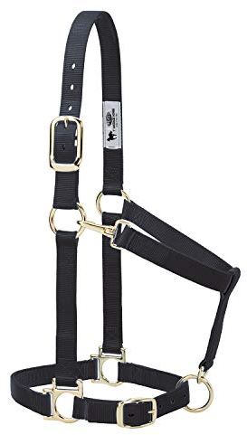Weaver Leather Basic Halfter aus Nylon, verstellbar, 2,5 cm, Schwarz