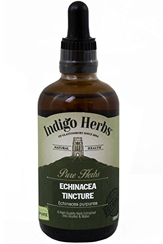 Echinacea Tinktur - 100ml - (Beste Qualität)