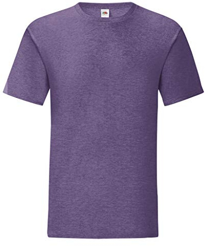 Fruit of the Loom Men's T-Shirt