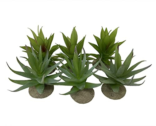 Terra Della, Realistic Aloe Terrarium Plant, Random Colors, Made of Quality Polyester Resin, Realistic Look, Solid Synthetic Resin Foot, Extremely Decorative