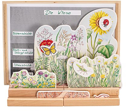 Betzold Stockwerke der Wiese – Natur spielerisch erforschen, Koordinationsübung für Lehrkräfte