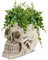 Verveho Pflanzgefäß im Gothic-Totenkopf-Stil für den Innenbereich – einzigartiger Übertopf für Pflanzen und Blumen (Schädel Pflanzgefäß)