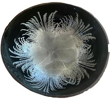 Hiseng Cuencos de Coco Impresión por Chorro de Tinta,Cuenco de Cáscara de Coco Natural Floral Pintado,Cáscara de Coco para Decoración del Hogar,Caja para Guardar Llaves (Plata)