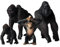 JOKFEICE Animal Figures - 4pcs Realistic Chimpanzee Action Model - Plastic Animal Learning Educational Bath Toys - Birthday Cupcake Topper Party Favors Gift For Kids