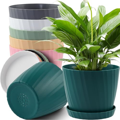 Plant Pots Indoor, Plastic Plant Pots, Indoor Plant Pot with Drainage Hole and Tray for Garden, House Plants, Outdoor & Indoor (COLOR)