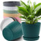 Plant Pots Indoor, Plastic Plant Pots, Indoor Plant Pot with Drainage Hole and Tray for Garden, House Plants, Outdoor & Indoor (COLOR)