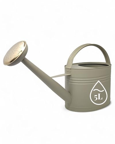 LIVLIG Annaffiatoio da 5 litri in metallo, inserto per annaffiatoio rimovibile in zinco, 5 l, annaffiatoio per balcone e giardino, annaffiatoio vintage, colore: verde