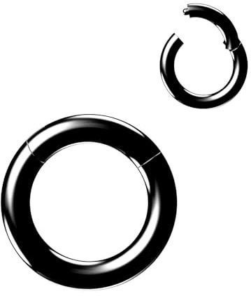 NewkeepsR 316L Edelstahl Hinged Segmentring Augenbraue Conch Daith Helix Lippe Nase Ohr Rook Septum Clicker Ringe