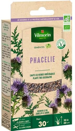 Phacélie - BIO - Petit Modèle