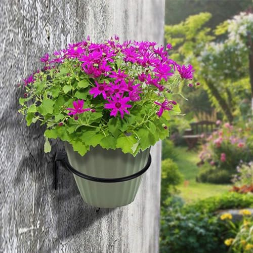 2 x Blumentopfhalter, hängende Pflanzenständer, Ringhaken, Wandmontage, Blumentopfständer, Metallring, Blumentopf (12,7 cm)