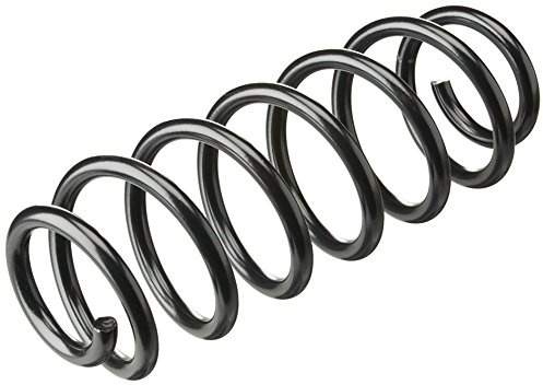 lesjofers 4295100 Coil Spring Rear