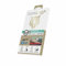 Tiger Glass Plus Verre TREMPE ANTIBACTERIEN IPHONE 13 Pro Max