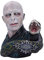 Nemesis Now B5792U1 Harry Potter Lord Voldemort Buste 30,5 cm, Multicore