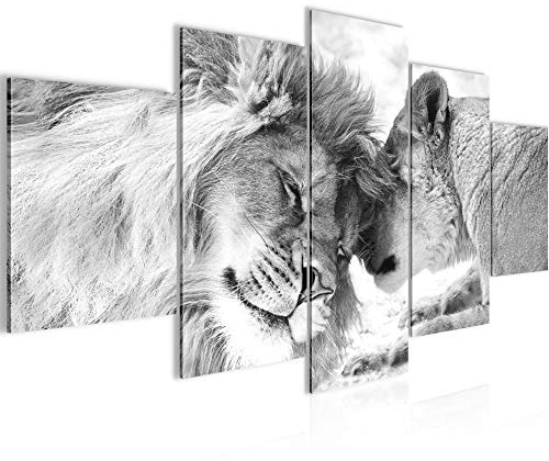Runa Art Bild Wohnzimmer Schlafzimmer Löwen Liebe 5 Teilig Löwen Familie Schwarz Weiss Wandbilder auf Vlies Leinwand 002153c