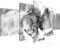 Runa Art Bild Wohnzimmer Schlafzimmer Löwen Liebe 5 Teilig Löwen Familie Schwarz Weiss Wandbilder auf Vlies Leinwand 002153c