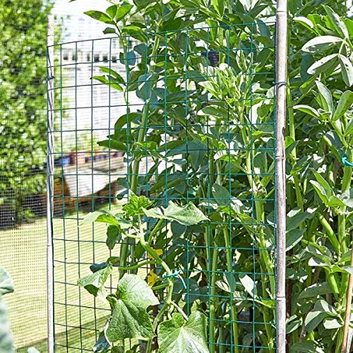 Garden Mile® Panneau de treillis soudé galvanisé - Différentes tailles - Panneaux en tôle d'acier soudés carrés (50 mm, 0,6 x 0,9 m)
