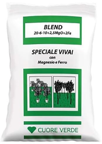 Blend concime 20-6-10 per piante in vaso con ferro 25Kg (6 MESI)
