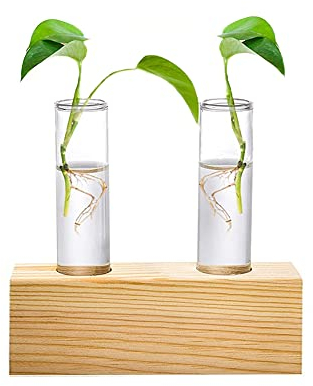 Jarrón Hidropónico, Jarrón de Tubo Vídrio, Plantas Hidropónicas Jarrón de Tubo, Tubo de Ensayo Hidropónico, para Plantas Hidropónicas, Oficina Decorativo, con Marco de Madera, 2 Tubos