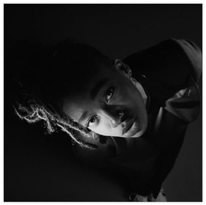 NTRECS Little Simz Poster, grauer Bereich, Albumcover, Leinwandposter, Wandkunst, Dekordruck, Bild Gemälde für Wohnzimmer, Schlafzimmer, Dekoration, ungerahmt, 40 x 40 cm