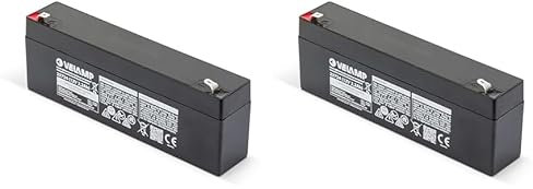 TECNID Batterie au Plomb Rechargeable 23724 12 V, 2,2 Ah. Idéal pour Les UPS et Les systèmes d'alarme. Raccords Faston, Noirs (Lot de 2)