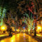 LEEMASING 192 LED Solar Meteorschauer Regen Baum Lichterkette Garten Party Outdoor Hochzeit Weihnachten Xmas Dekoration