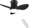 AUTODAY Ventilatore Da Soffitto Piccolo Silenziatore Dc Ventilatore A Soffitto Con Luce (Nero piatto)