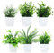 BUCOMTU 6 Piezas Plantas Artificiales,Plantas Artificiales Decorativas Pequeñas,Mini Plantas Artificiales, Macetas Artificiales, Adecuadas para Decorar Oficinas, Dormitorios y Salones