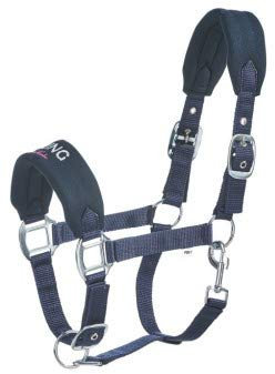 Busse Halfter-Set Young Star, WB, Navy