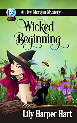 Wicked Beginning: An Ivy Morgan Mystery Books 1-3
