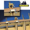 Model Expo HULL PLANKING CLAMP SET OF 6 (3/16 AND LARGER)