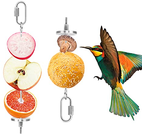 Jubaopen Skewer Food Parrot, Parrot Skewer Feeder 2 Pcs Stainless Steel Stick for Birds Holder Stick Vegetables Fruit for Birds Parakeets Canary 2 Sizes