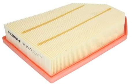 FILTRON AP 151/7 Filtro aria motore Cartuccia filtro