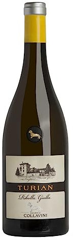 Collavini Pucino Refosco Collio Orientali del Friuli DOC, 750 ml, 6 Stück