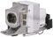 Viking 5J.J7L05.001 Lampe pour BENQ W1070,W1080ST
