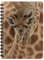 3D LiveLife Jotter - Neugeborenes von Deluxebase. Linsenförmiges 3D Giraffe A6 Spiralblock. Ein liniertes Notizbuch mit Kunstwerken, die vom renommierten Künstler Collin Bogle lizenziert wurden