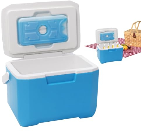 Small Cool Box - Insulated Portable Food & Drink Cooler, Car Refrigerator for Outdoor Use, Picnic & Camping, Lightweight Hard Shell for BBQ & Travel