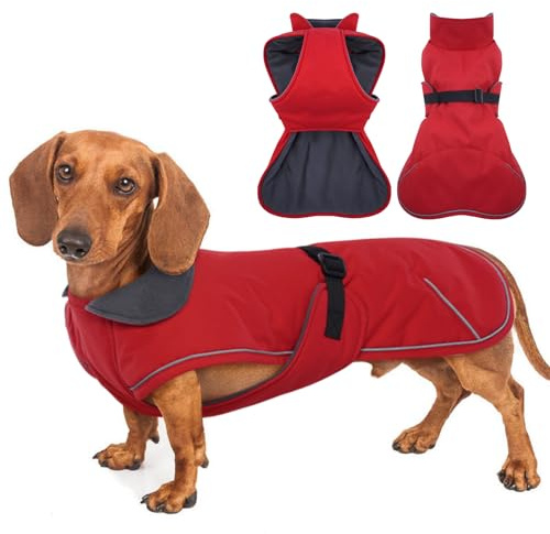 MORVIGIVE Hundemantel, perfekt für Dackel – Rot, Größe L, wasserdichter Wintermantel mit integriertem Geschirr, warme Weihnachtsbekleidung, Outdoor-Bekleidung, verstellbarer Schnallenverschluss