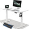 Airfish Höhenverstellbarer Schreibtisch 100x60cm mit USB-Buchse, Schreibtisch Höhenverstellbar Elektrisch mit Memory Funktion, 73-118cm,Weiß