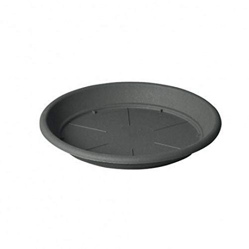 Teraplast Soucoupe Anthracite pour extérieur de Couleur Gris 65 cm, Multicolore, Unique