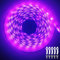 ShineBurky 12V LED Streifen Rosa Lila 5M, LED Strip Flexibel Schneidbar 300 SMD2835 LEDs IP65 Wasserdichtes Selbstklebend LED Leiste Band für Innen Schlafzimmer Küche Weihnachten Deko, Ohne Netzteil