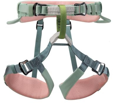 PETZL MACCHU Arnés de escalada para niños - Arnés de asiento ajustable para niños de menos de 40kg / 88 lbs - Verde jade